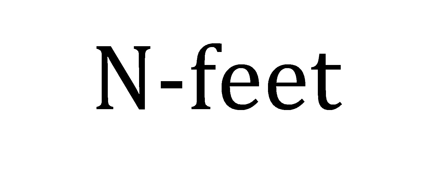 N-FEET